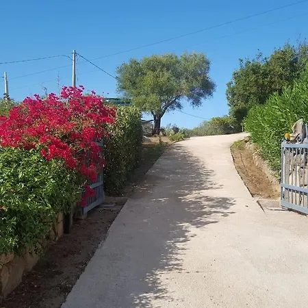 Sara Apartment Olbia
